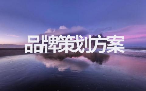 新颖品牌策划方案范文大全（完整版）