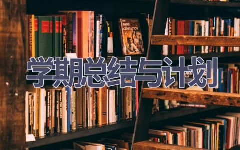 学期总结与计划(20篇精选范文）