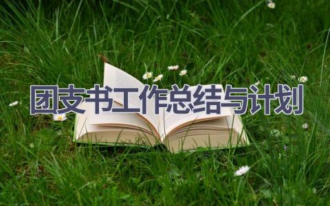 团支书工作总结与计划(19篇精选范文）