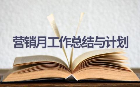 营销月工作总结与计划(17篇精选范文）