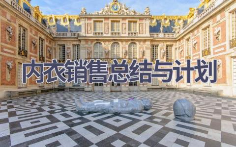 内衣销售总结与计划(6篇精选范文）