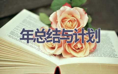 年总结与计划(21篇精选范文）
