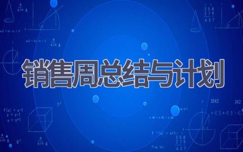 销售周总结与计划(21篇精选范文）