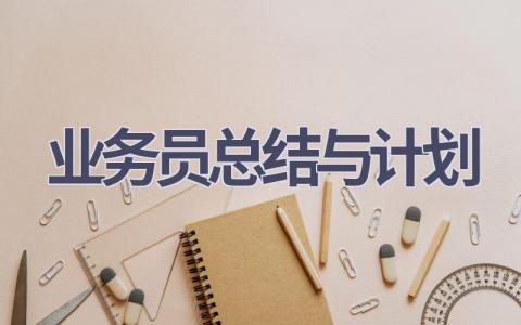 业务员总结与计划(11篇精选范文）