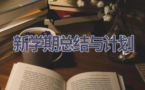 新学期总结与计划(19篇精选范文）