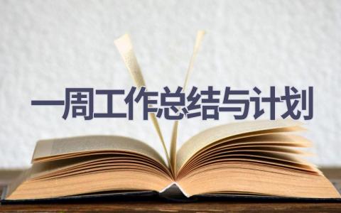 一周工作总结与计划(16篇精选范文）