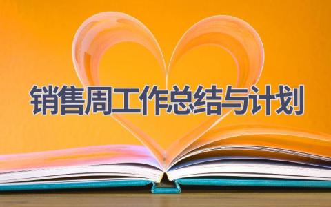 销售周工作总结与计划(16篇精选范文）