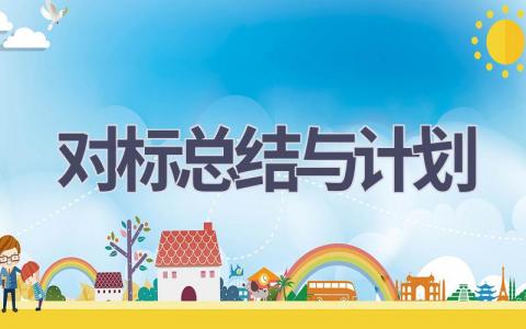 对标总结与计划(6篇精选范文）