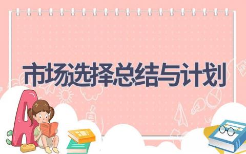市场选择总结与计划(14篇精选范文）