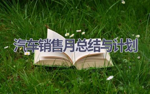 汽车销售月总结与计划(20篇精选范文）