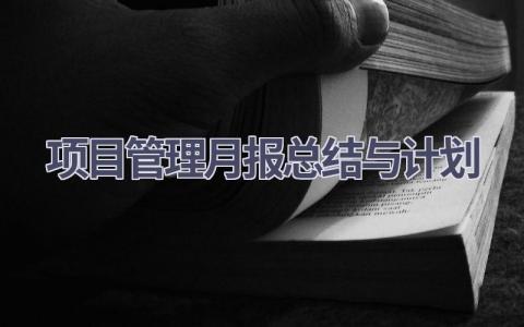 项目管理月报总结与计划(17篇精选范文）