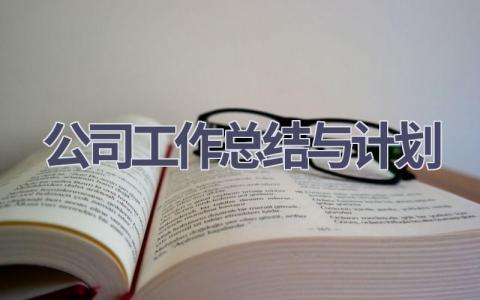 公司工作总结与计划(16篇精选范文）