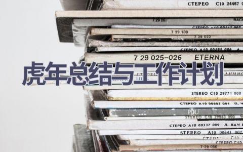 虎年总结与工作计划(16篇精选范文）