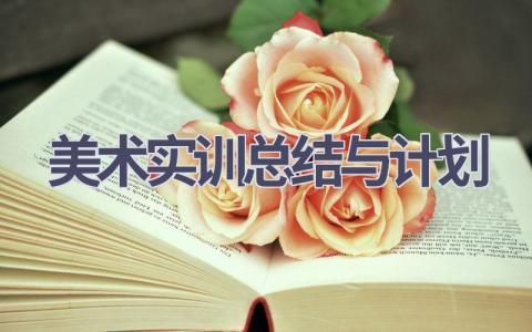 美术实训总结与计划(6篇精选范文）