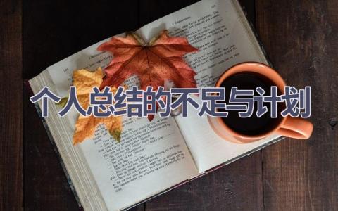 个人总结的不足与计划(12篇精选范文）