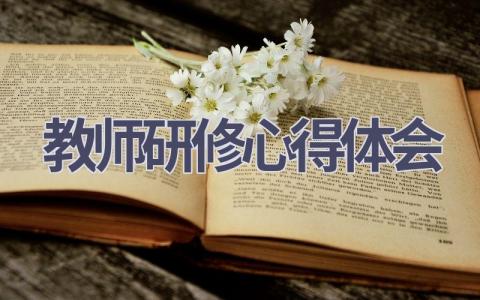 教师研修心得体会(21篇精选范文）