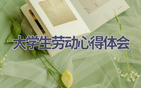 大学生劳动心得体会(13篇精选范文）