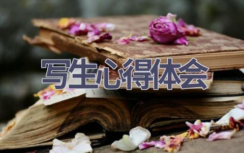 写生心得体会(5篇精选范文）