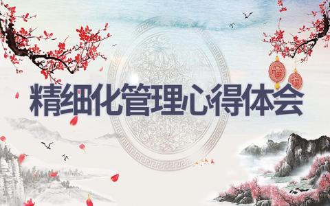 精细化管理心得体会(14篇精选范文）